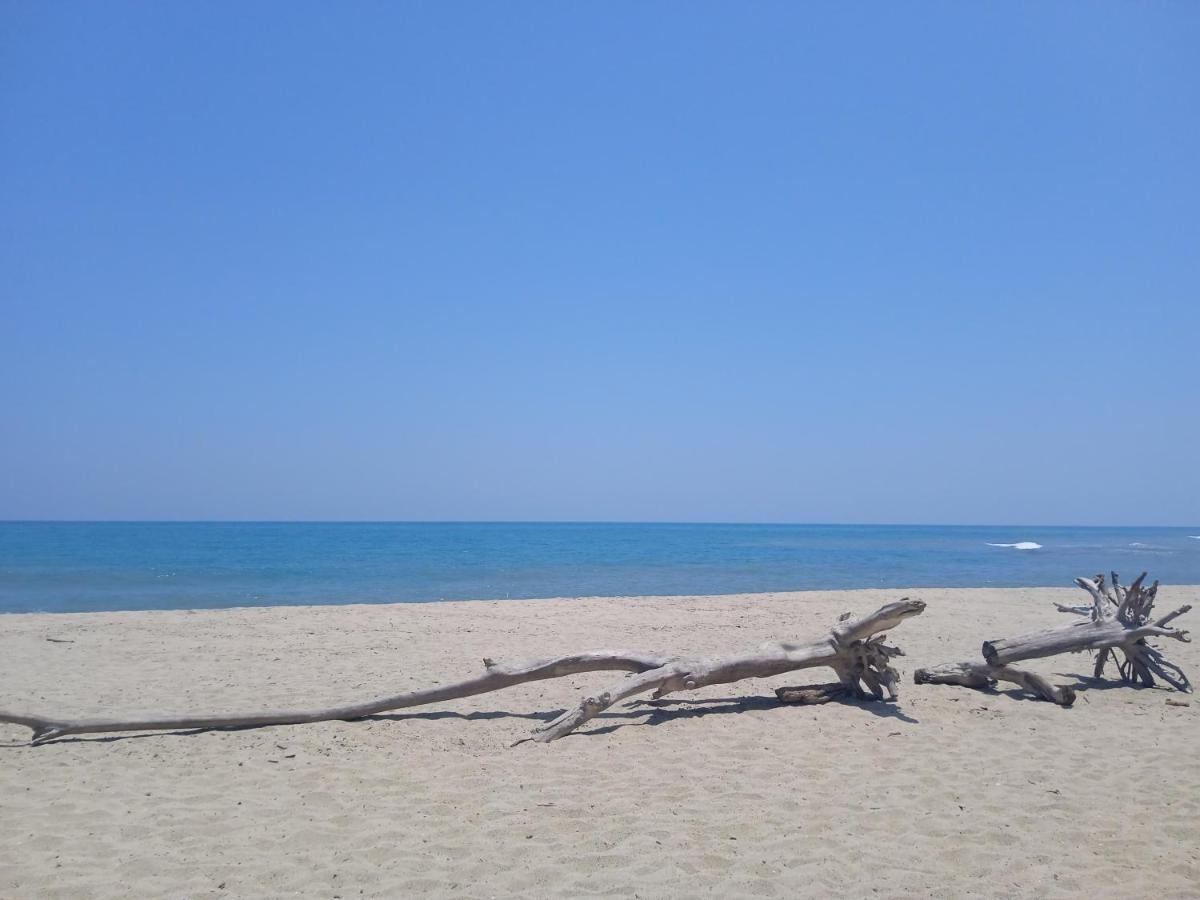 Bob Marley Beach Guachaca المظهر الخارجي الصورة
