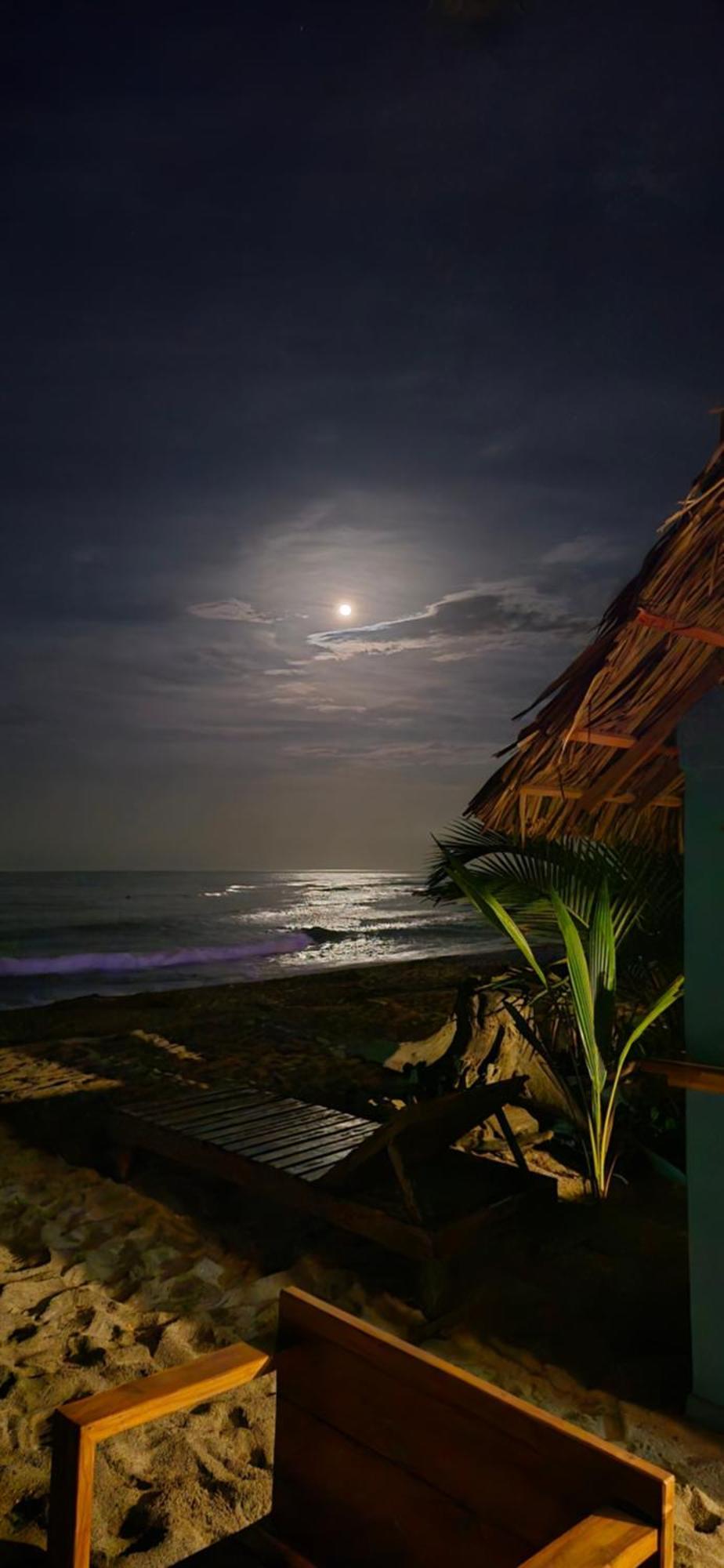 Bob Marley Beach Guachaca المظهر الخارجي الصورة