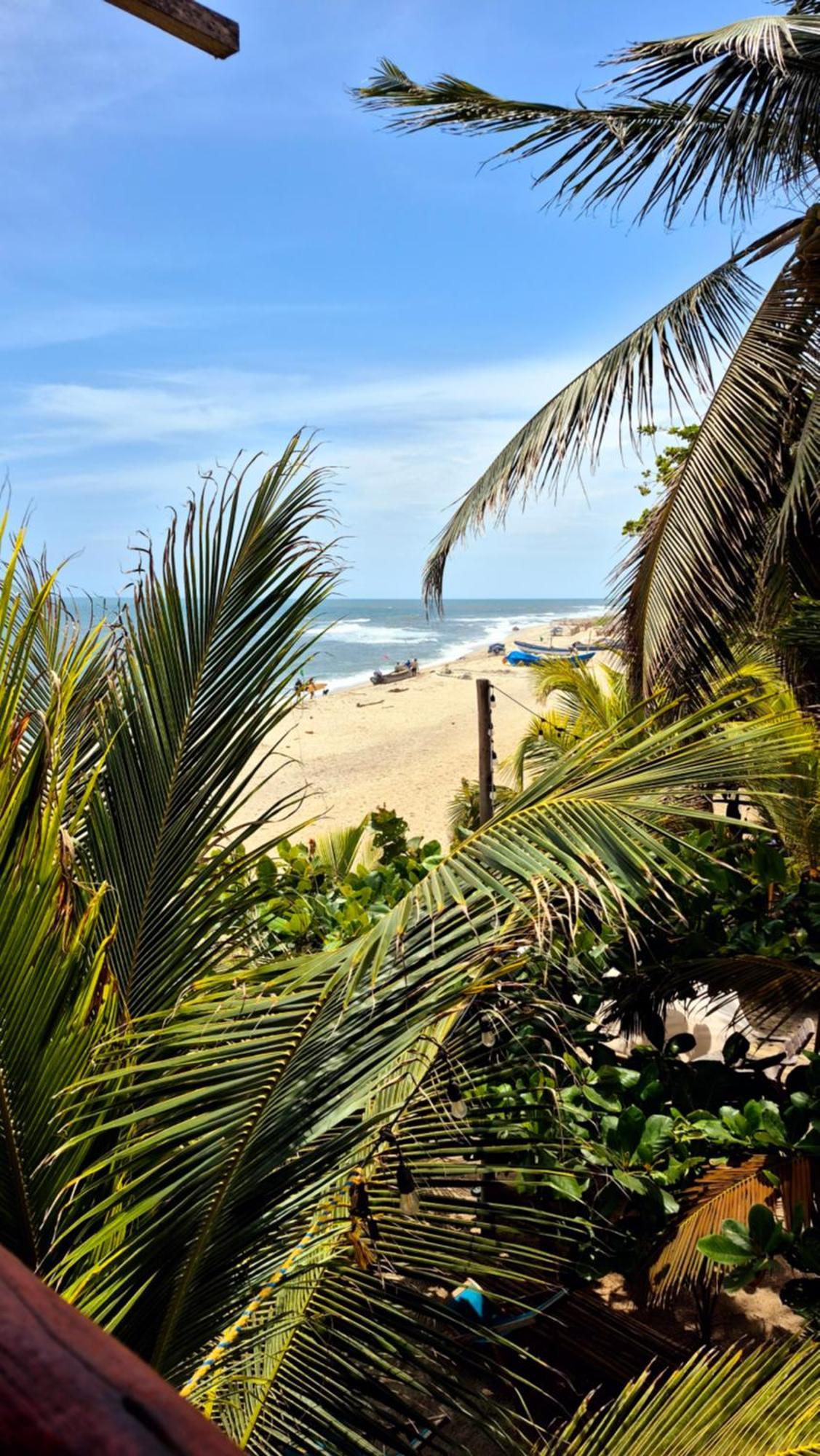 Bob Marley Beach Guachaca المظهر الخارجي الصورة